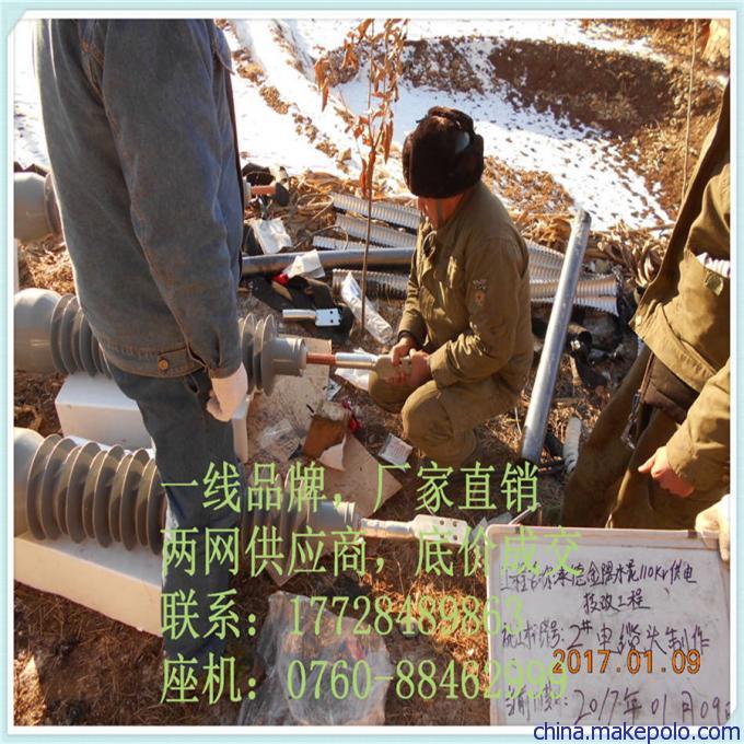 户内型，插拔式电缆头，YJZWC-F 110kV 复合套管式户外终端