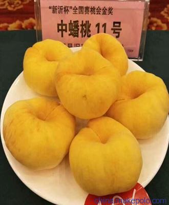 旺运苗木选桃苗新品种代理油桃苗3厘米粗的