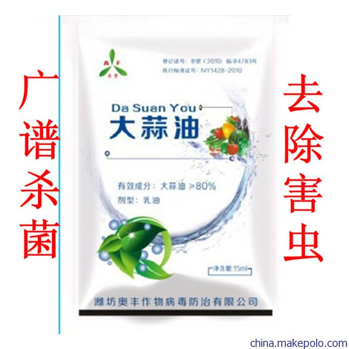 大蒜油 大蒜油